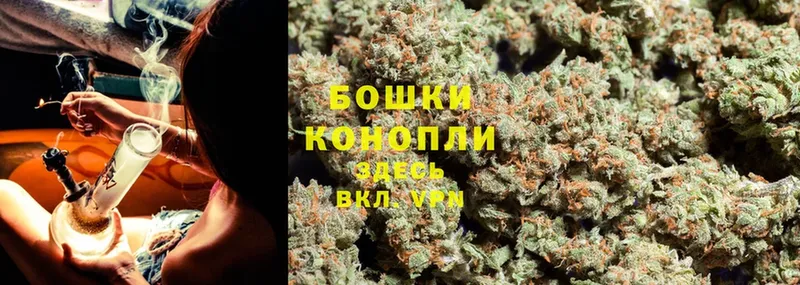 Канабис White Widow  Гатчина 